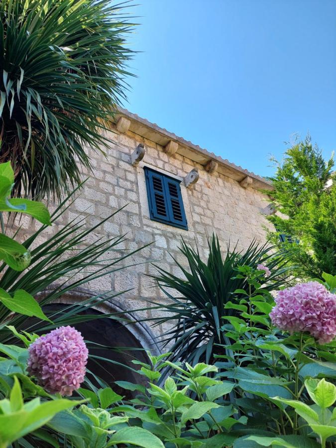 Domo apartmani Zaostrog Exterior foto